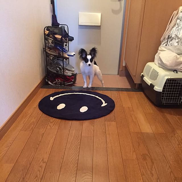 neriさんの実例写真