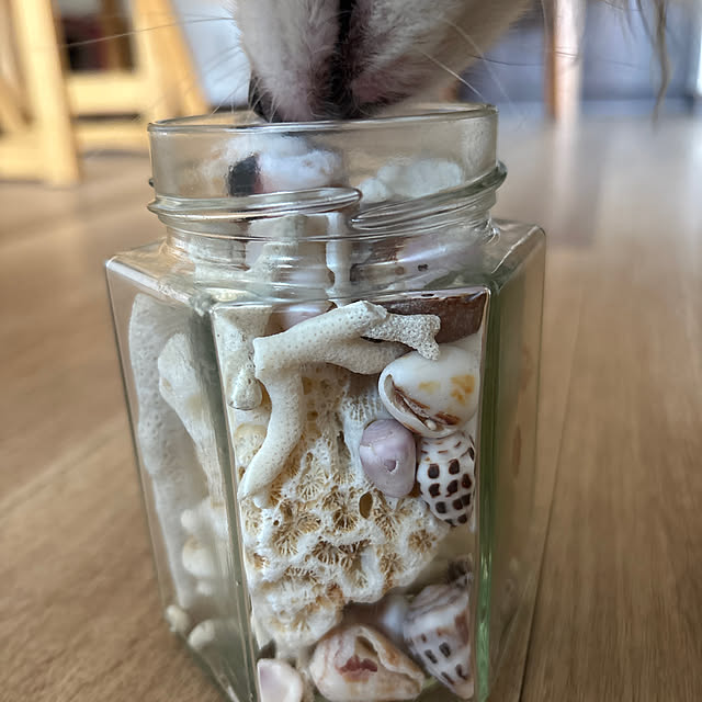 buddykoさんの実例写真