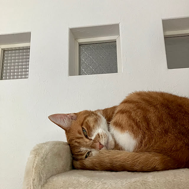 myuuさんの部屋