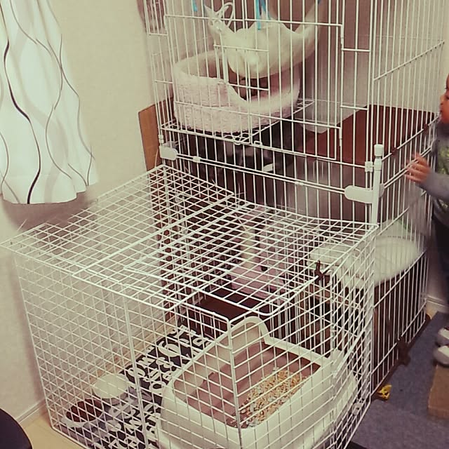 maさんの実例写真