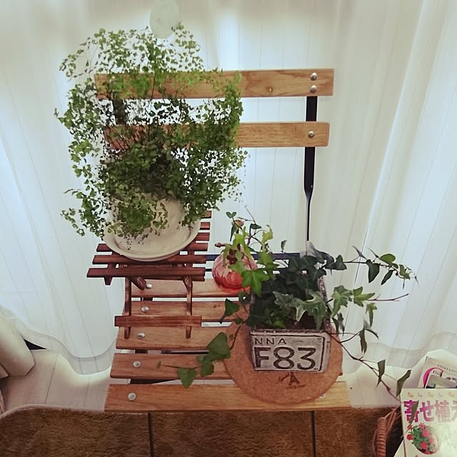 yakoさんの実例写真