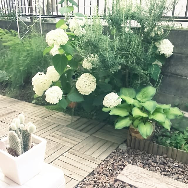 mintさんの実例写真