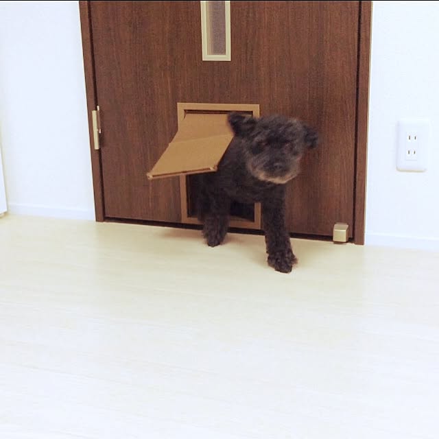 Mさんの実例写真