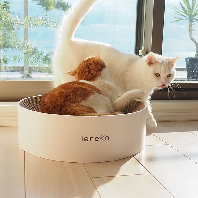 tomatoさんの実例写真