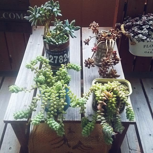satominさんの実例写真