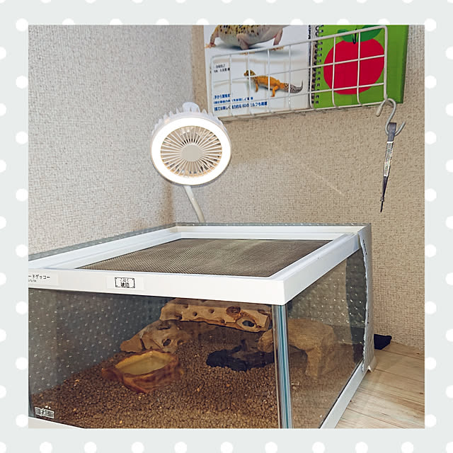 H23さんの実例写真