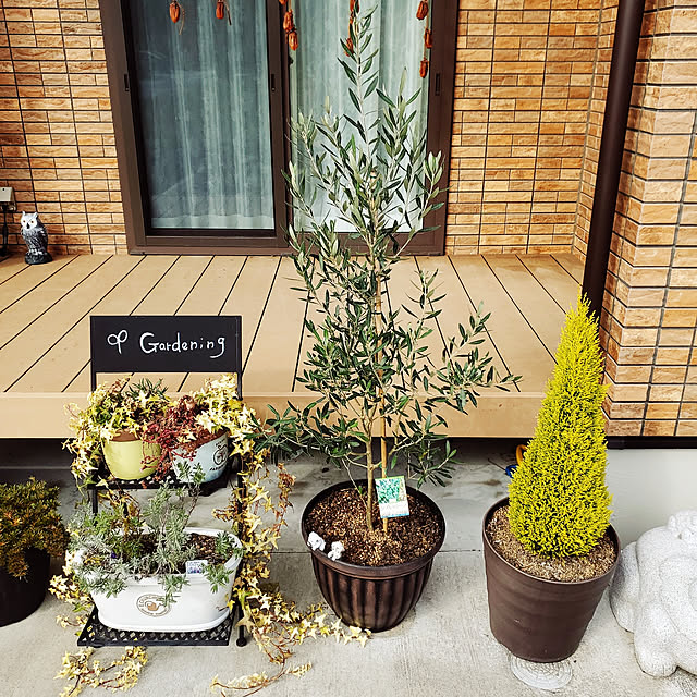 Daiさんの実例写真
