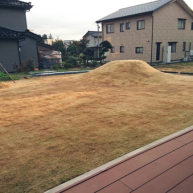 s_h_yさんの実例写真