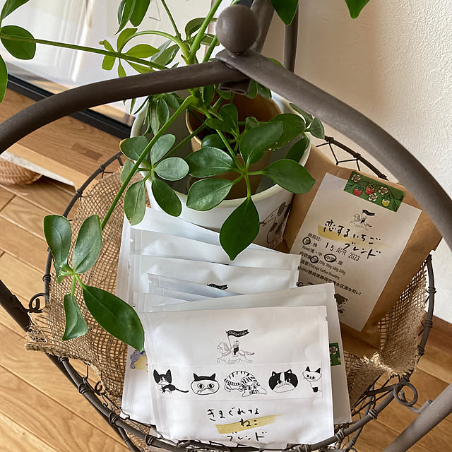 nana77さんの部屋