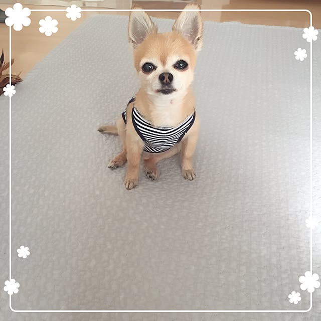 Emiさんの実例写真