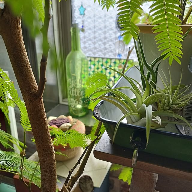 hiro3さんの部屋