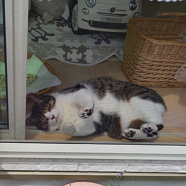 civicglさんの実例写真