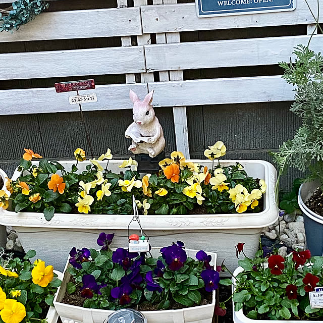 YuuKoさんの実例写真