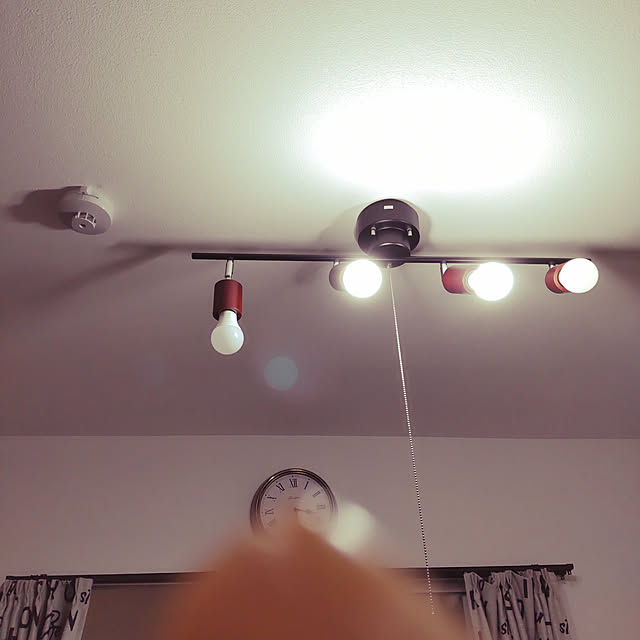 MEさんの実例写真