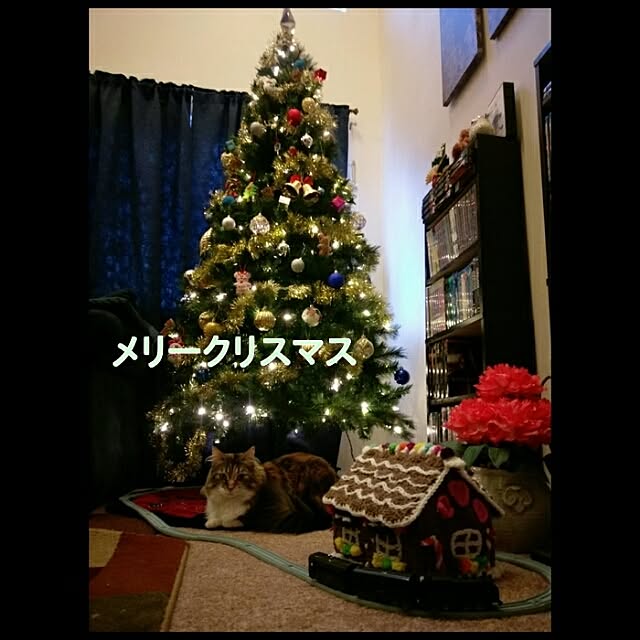 Yeve-Lionさんの実例写真