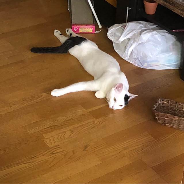 aym0418さんの実例写真