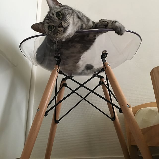 mikomaruさんの実例写真