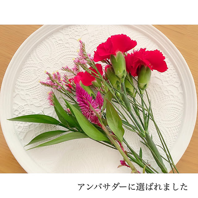 chaluさんの実例写真