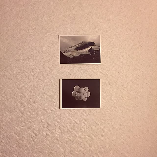 Mikaさんの実例写真