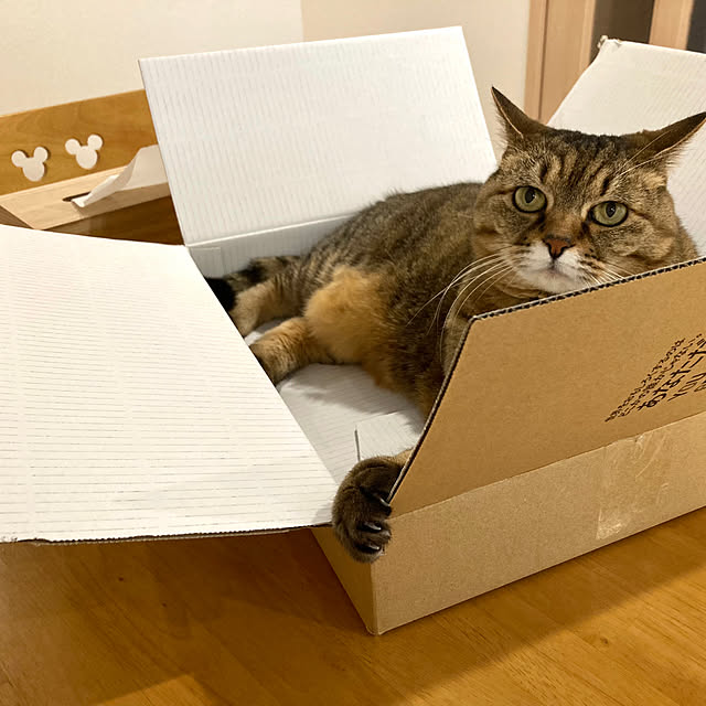 kirinsanさんの実例写真