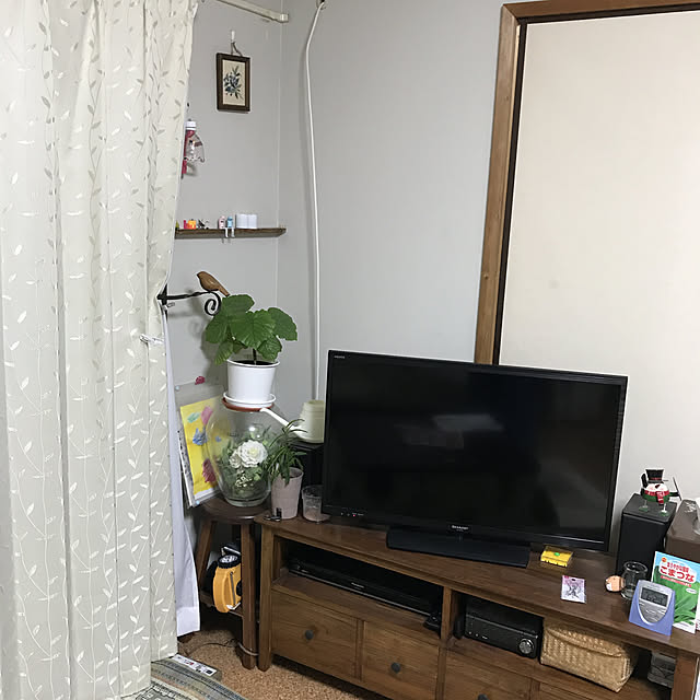 misakiさんの実例写真