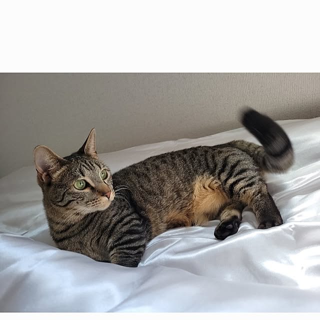 naoさんの実例写真