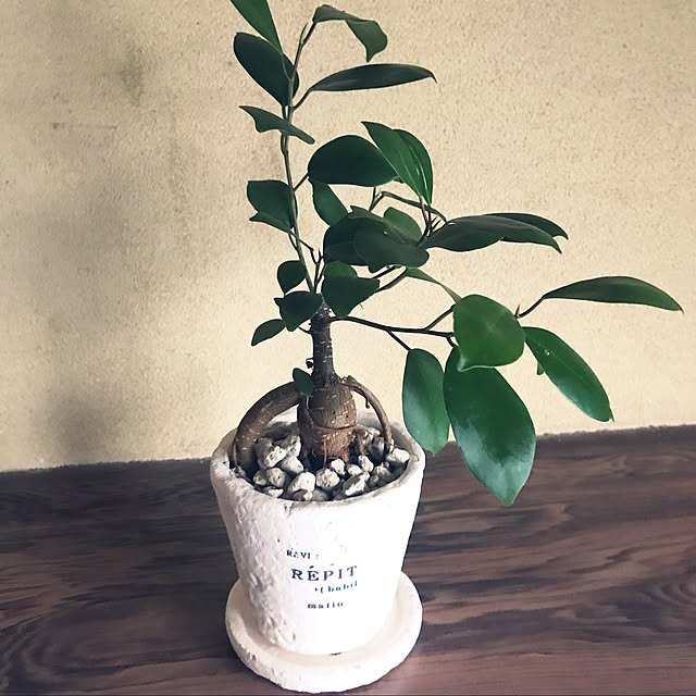 jukai8153さんの実例写真