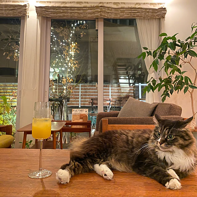 Hisashiさんの実例写真