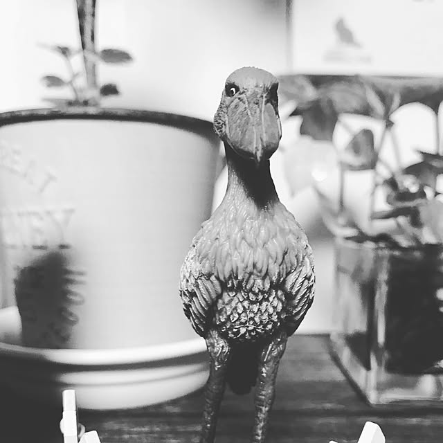 daikichiさんの実例写真