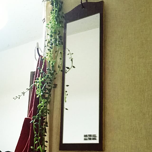 junさんの実例写真