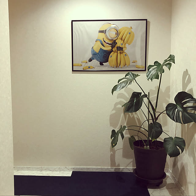 SSSSさんの実例写真