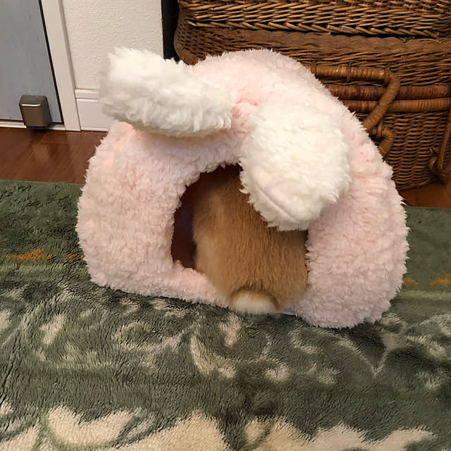 pikarunさんの実例写真