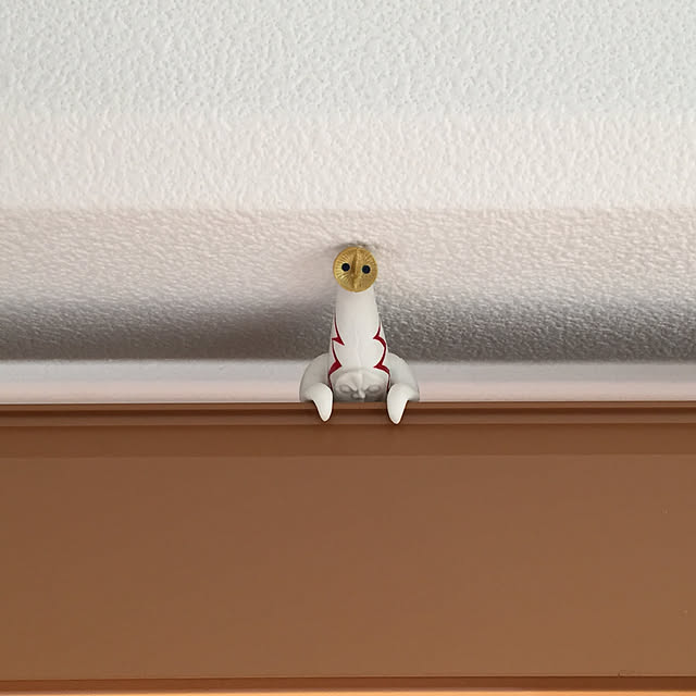 robi_tntmさんの実例写真