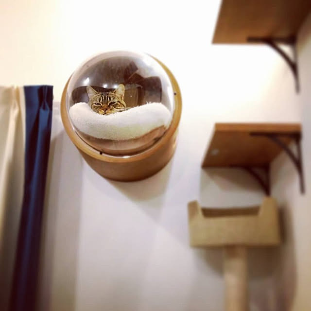 mochicoさんの実例写真