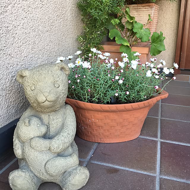 tomoさんの実例写真