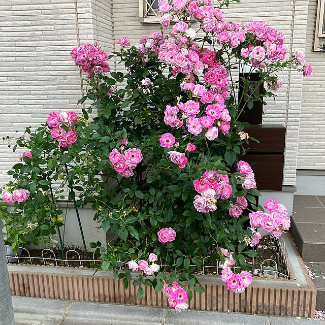 miiさんの部屋