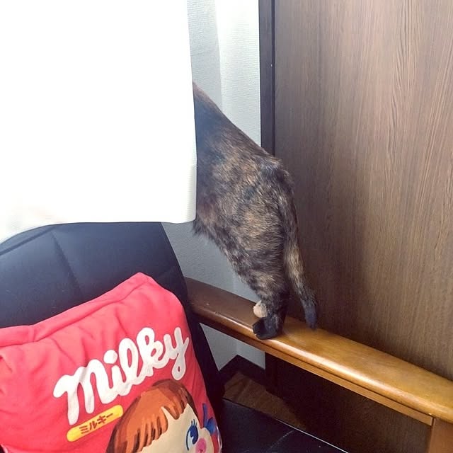 hirukumaさんの部屋