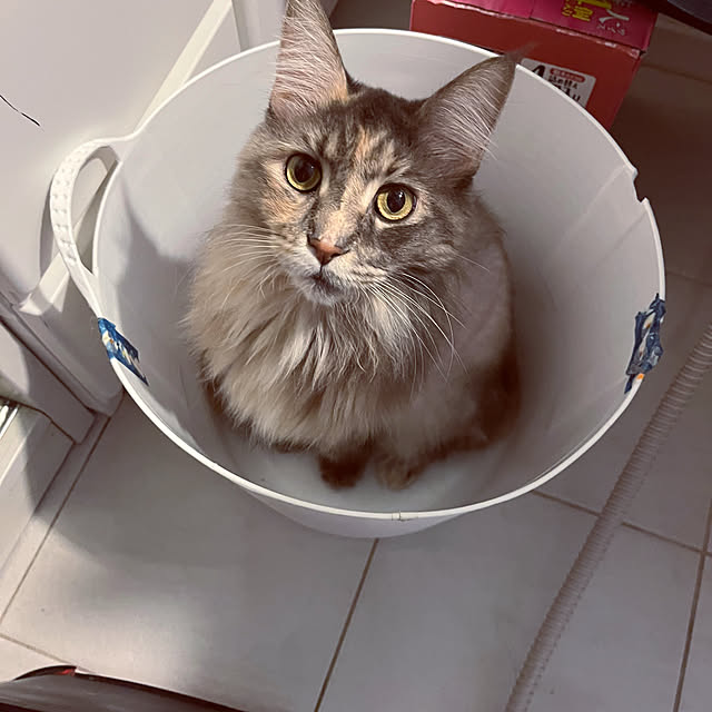 mayumiさんの部屋
