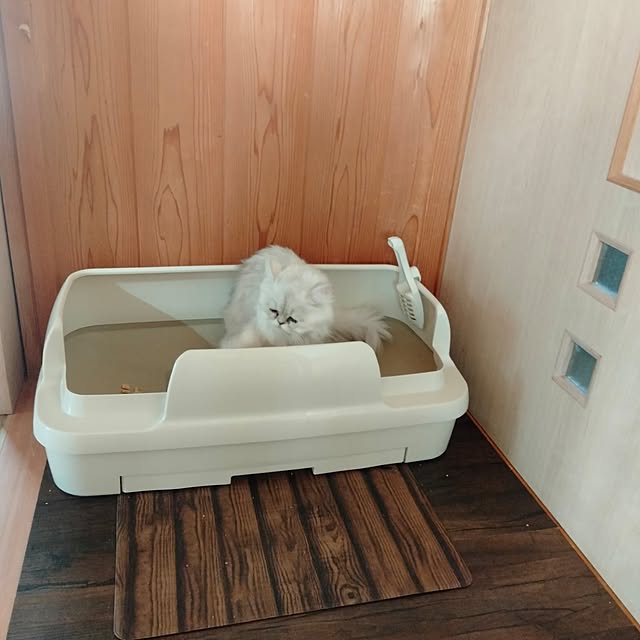 makaronさんの実例写真
