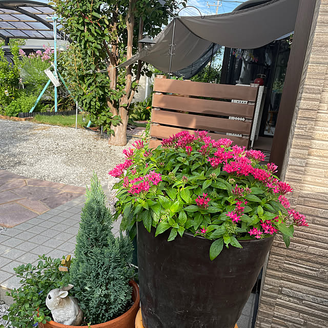 ronronさんの部屋