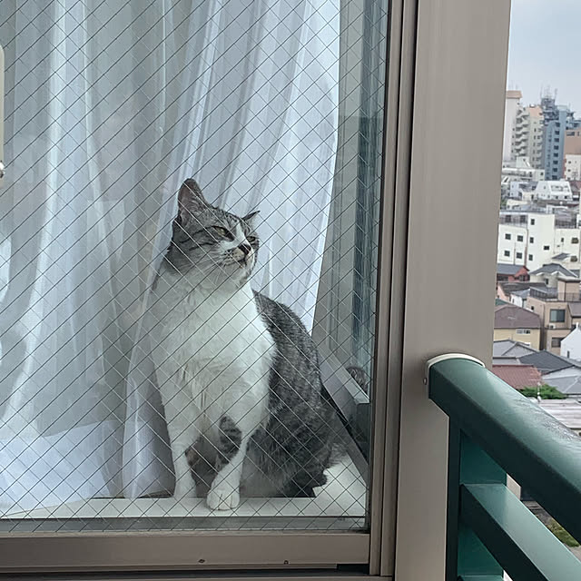 seireiさんの実例写真