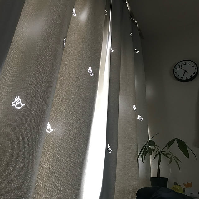 takenokoさんの実例写真