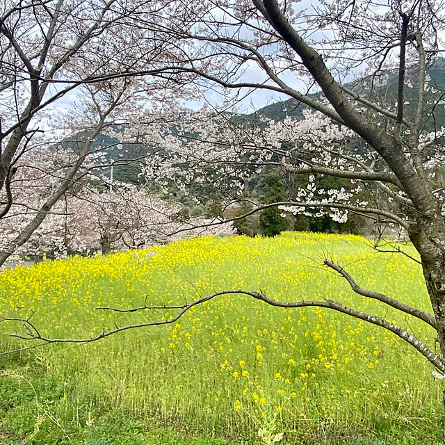 norakuro.1972さんの部屋