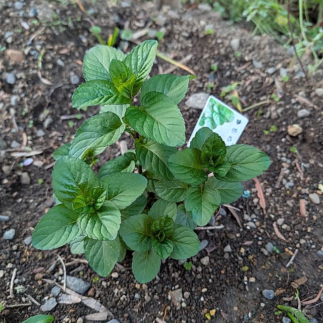 fuchan0930さんの部屋