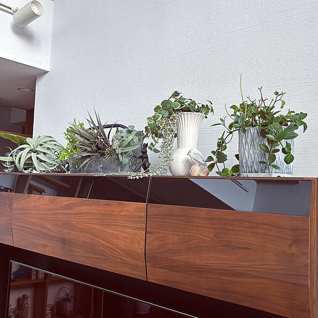 maimai0110さんの部屋