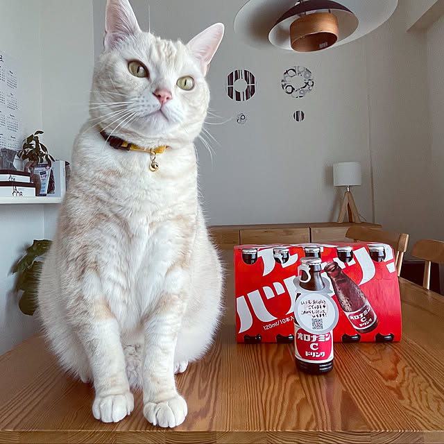 hiyupan88さんの実例写真