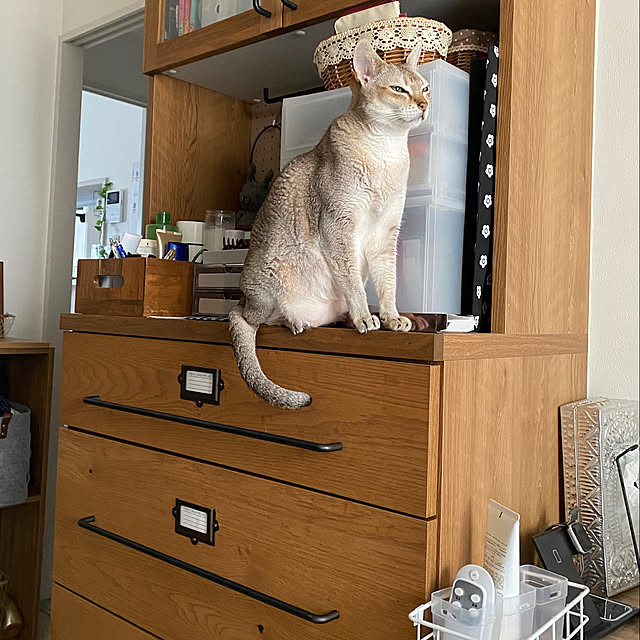 chieemako1114さんの実例写真