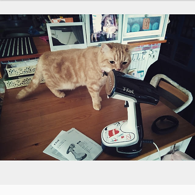 mntcさんの実例写真