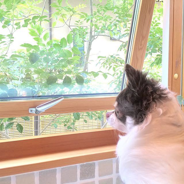 hana729さんの実例写真
