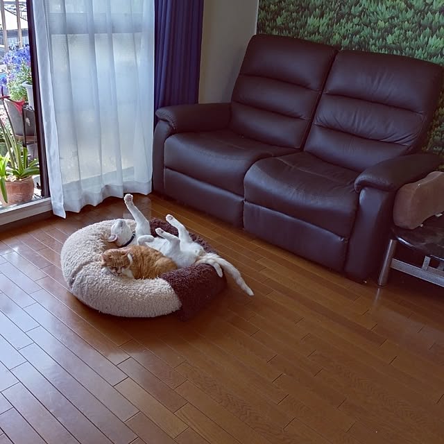 NOAHさんの部屋